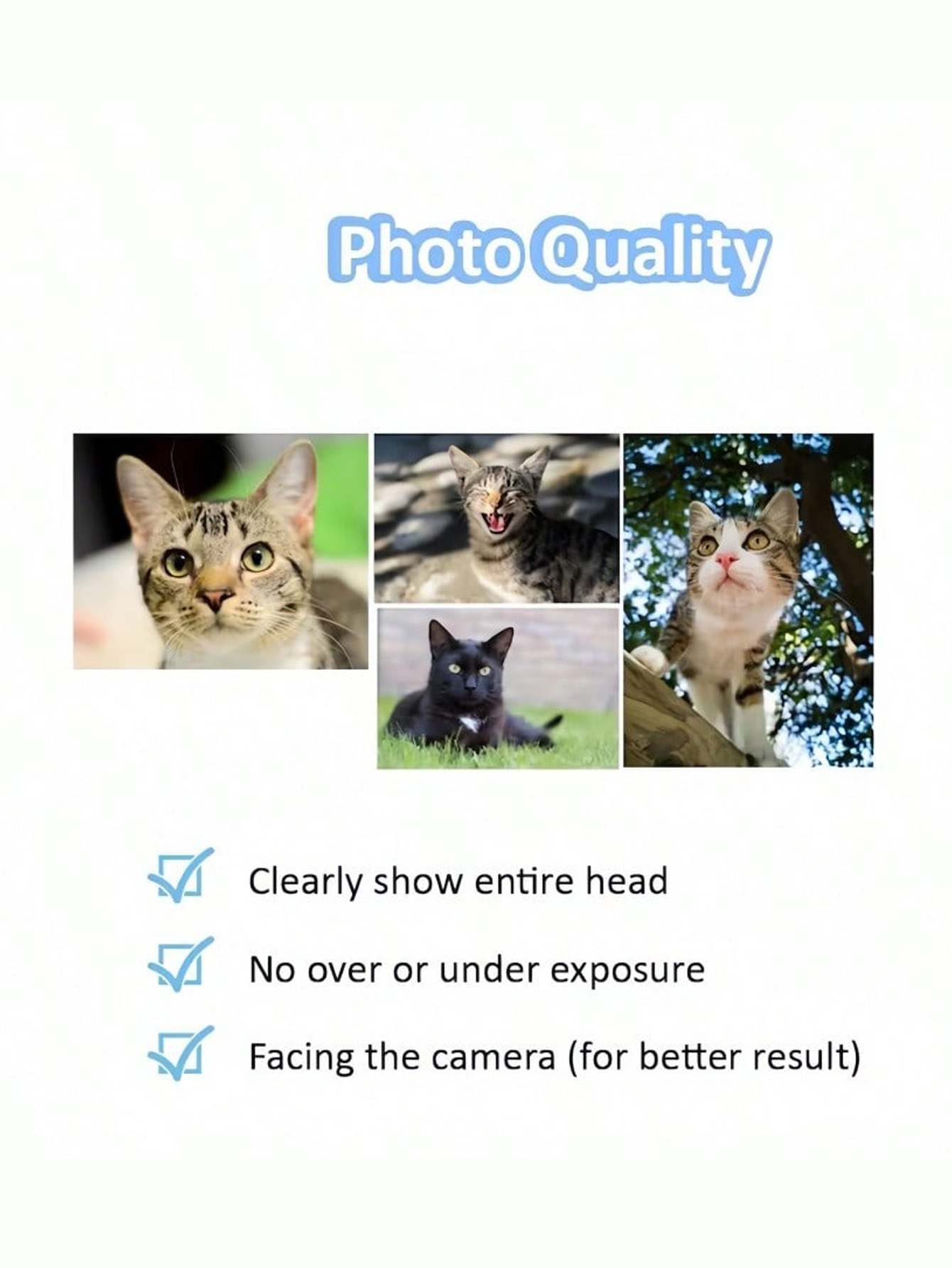 Custom Pet Acrylic Portrait Keychain